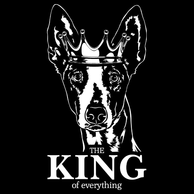 Podenco Roi de tout Dire Chiens Wilsigns