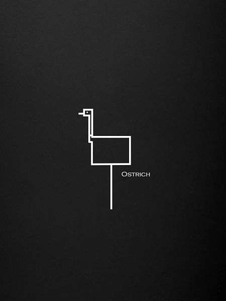 Ostrich