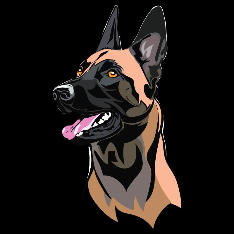 Malinois dog head