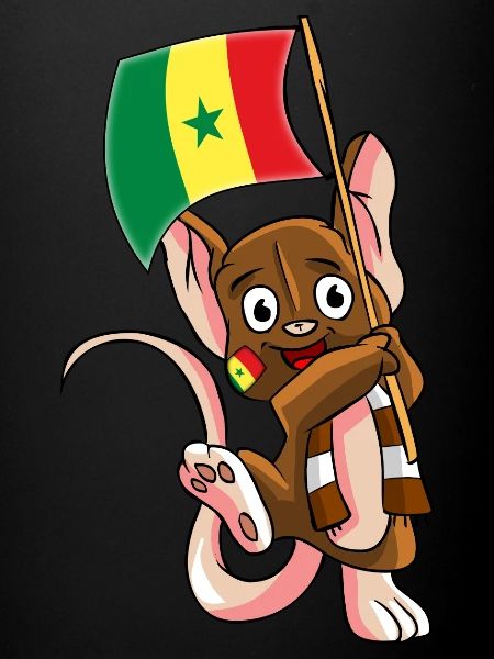 Senegal Fan Mouse