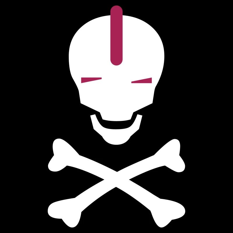 Schädel Punk