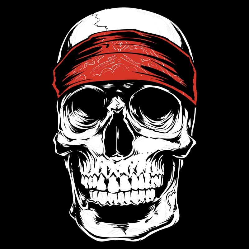 Biker Skull
