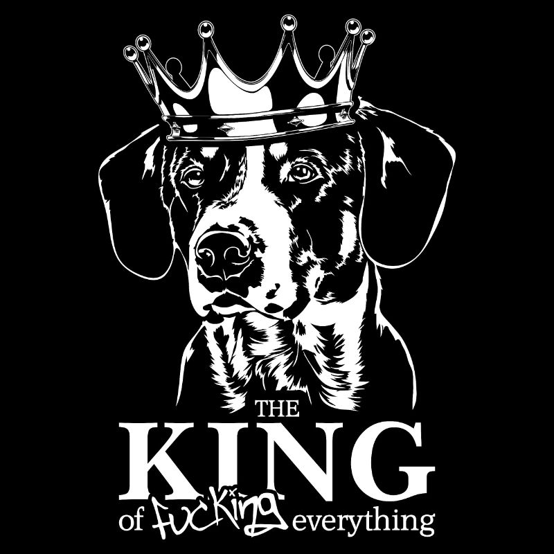 Entlebucher Sennenhund King of everything Hunde