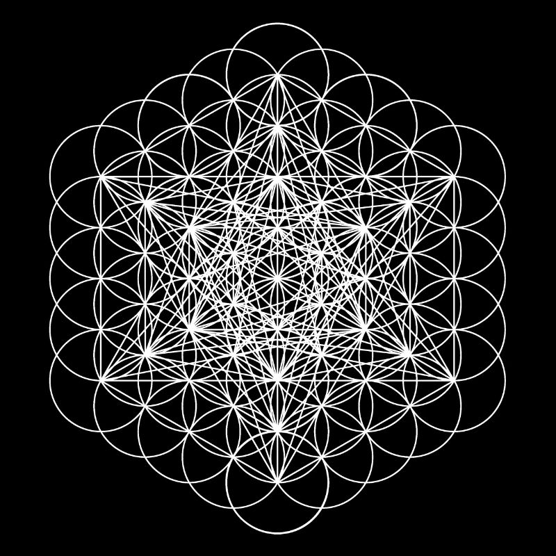 metatrons cube white