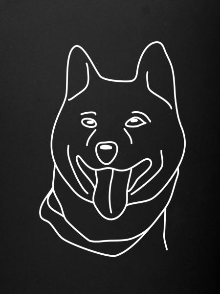 Shiba Inu