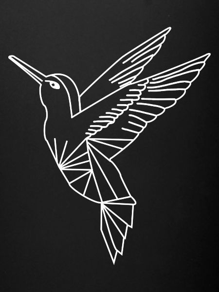 Seagull geometric