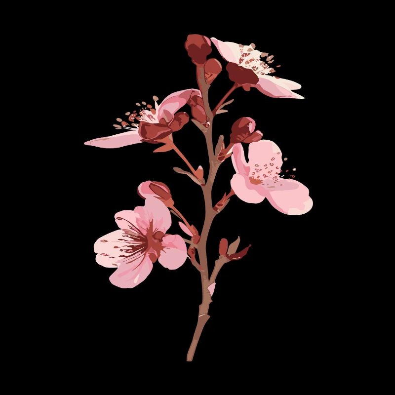 Fleurs de cerisier fleurs de sakura rose