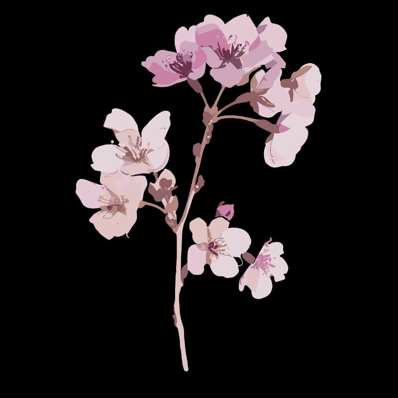 Fleur de Sakura de cerisier illustration autocollant