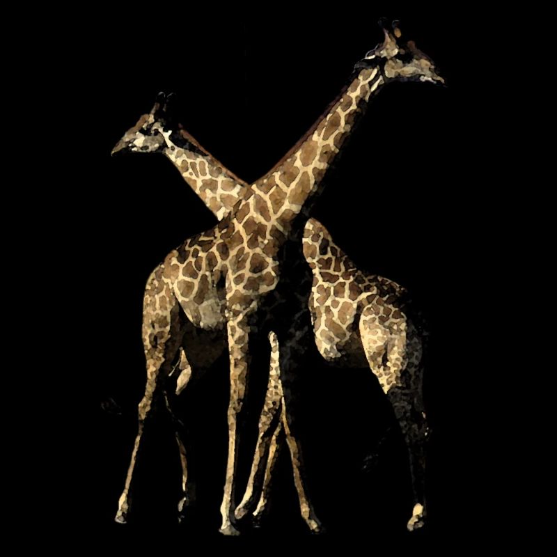 Giraffes
