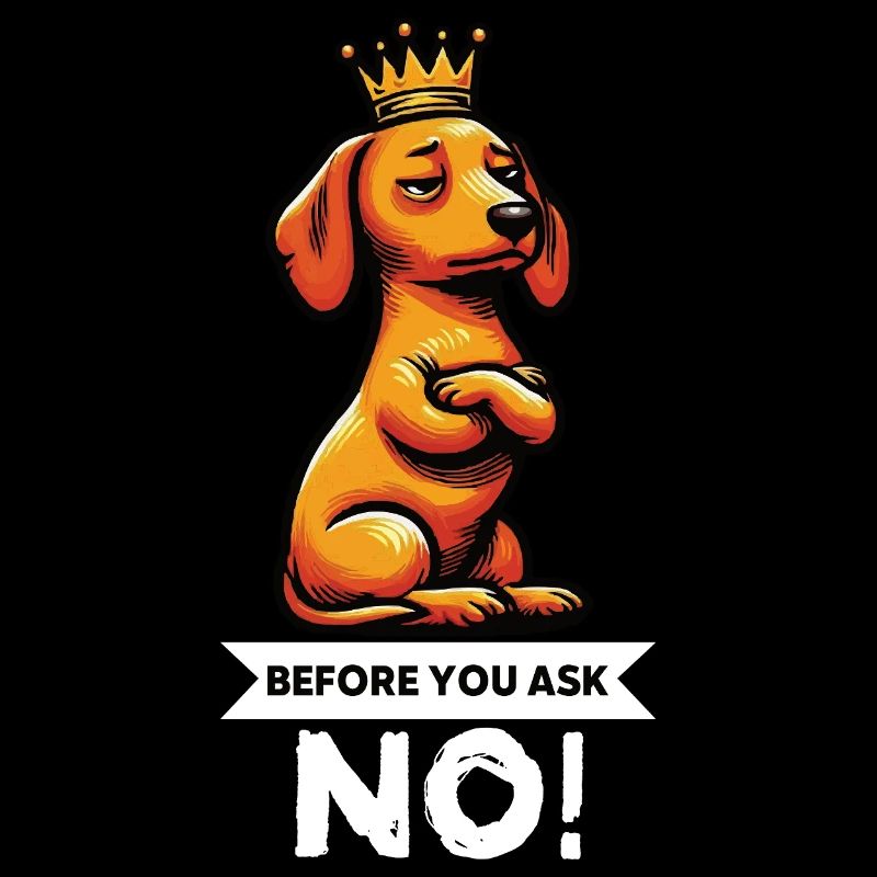 Before You Ask Dackel Dackelbesitzer Dackelhalter