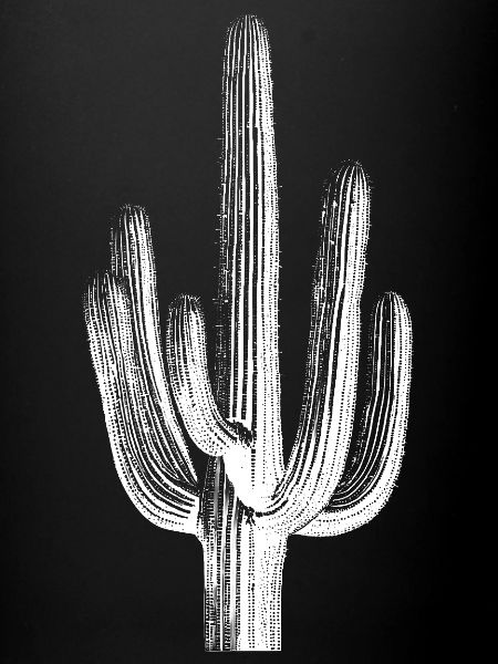 Desert Cactus Silhouette