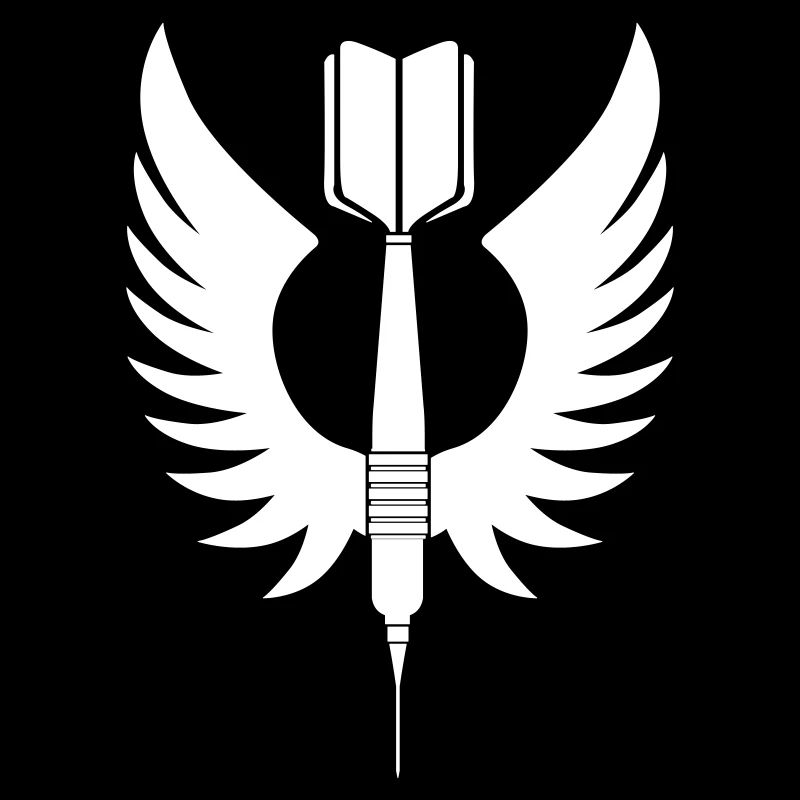 Fléchettes Flèche - fléchettes joueur fléchettes fléchettes