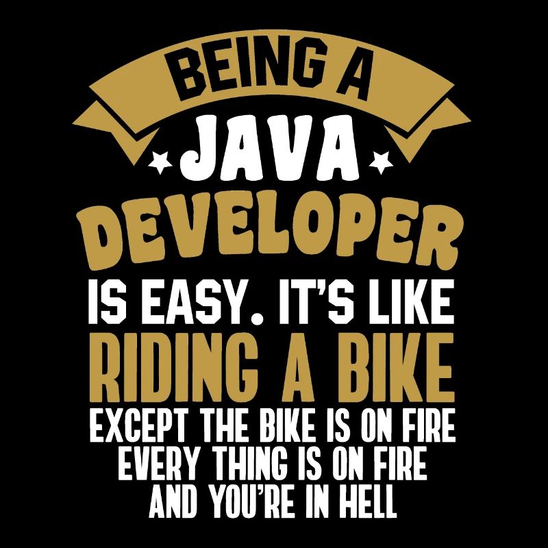 Java Developer