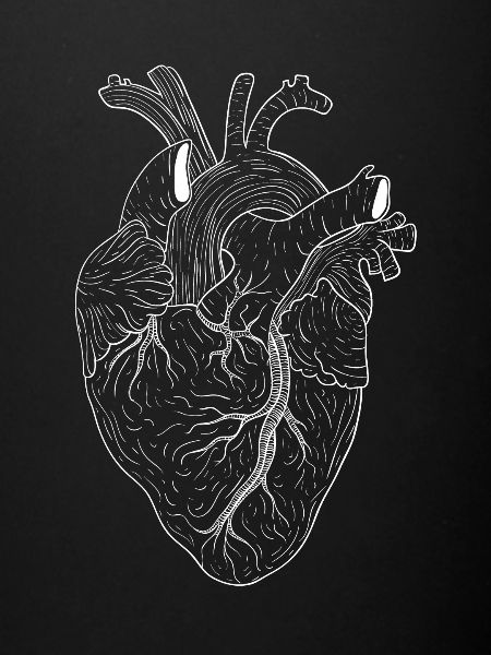 heart