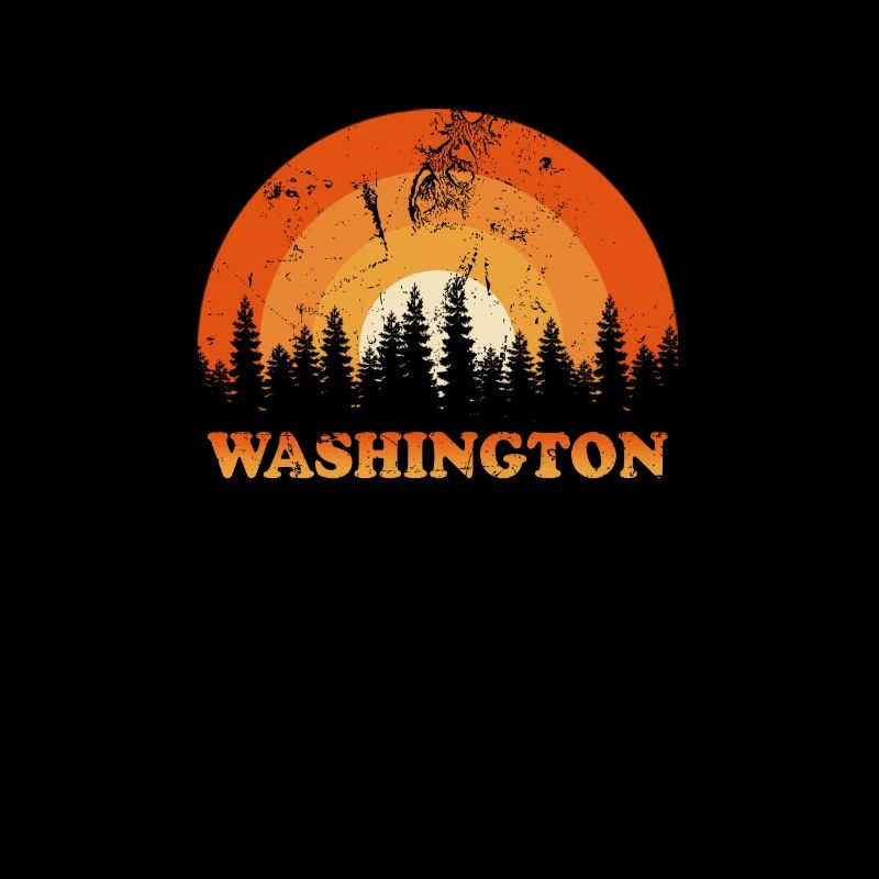 Vintage Washington Fan Retro Cool Sunset