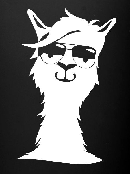 alpaca