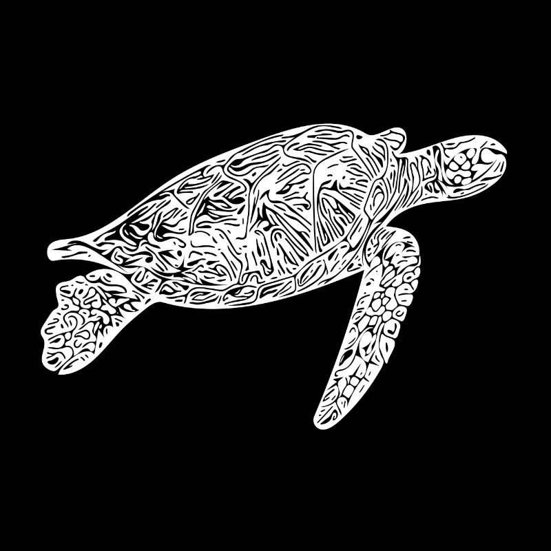 Tortue de mer - Tortue d’eau