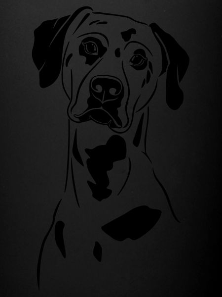 dalmatien