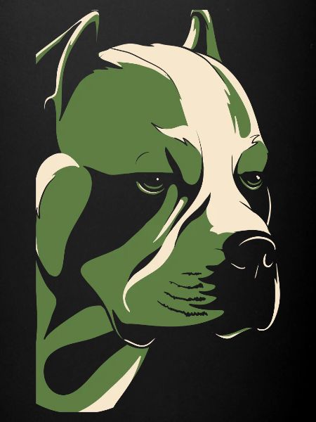 Pitbull