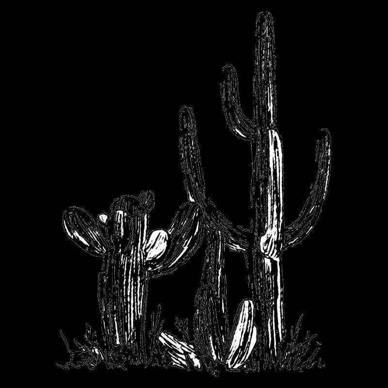 Cactus Vibe