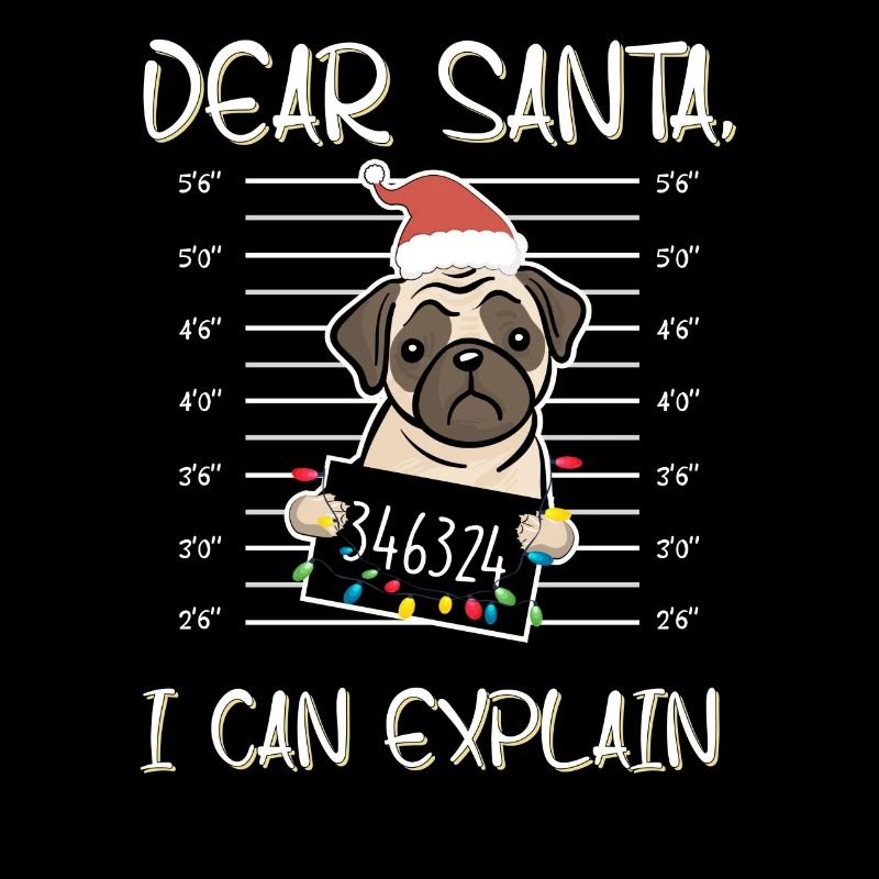 Pull drôle de Noël pour les amants de carlin