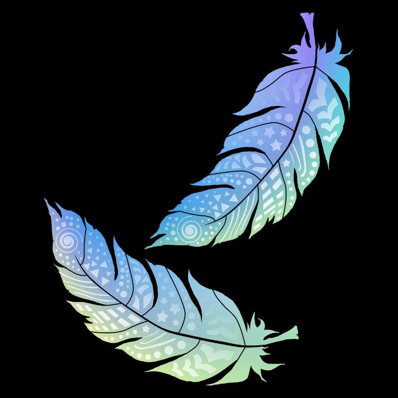 plume indienne colorée