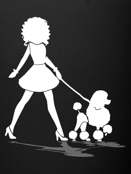 Dog with poodle