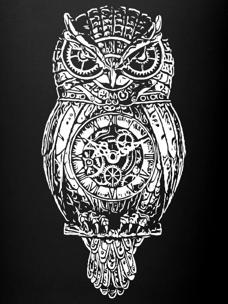 owl