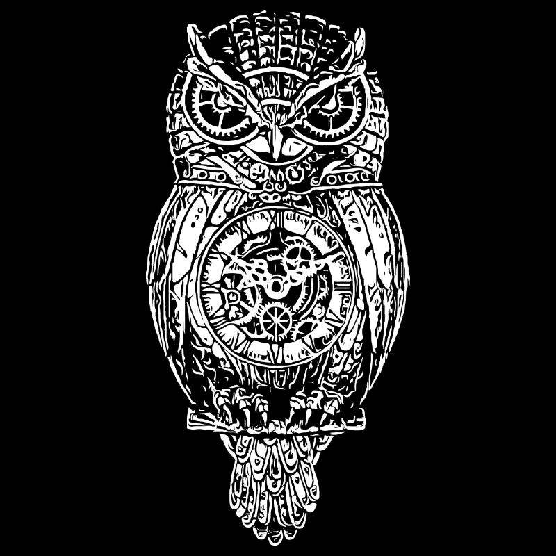owl
