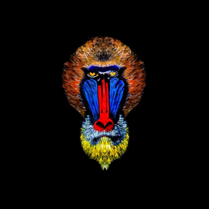 Painted Baboon