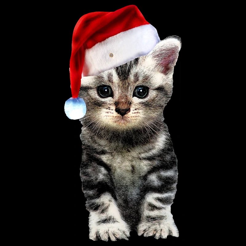 chat noël