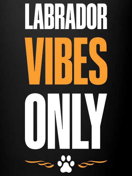 Labrador Vibes Only