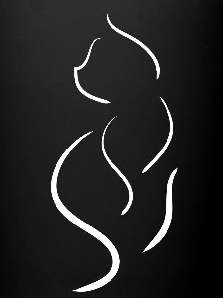 Minimalist cat