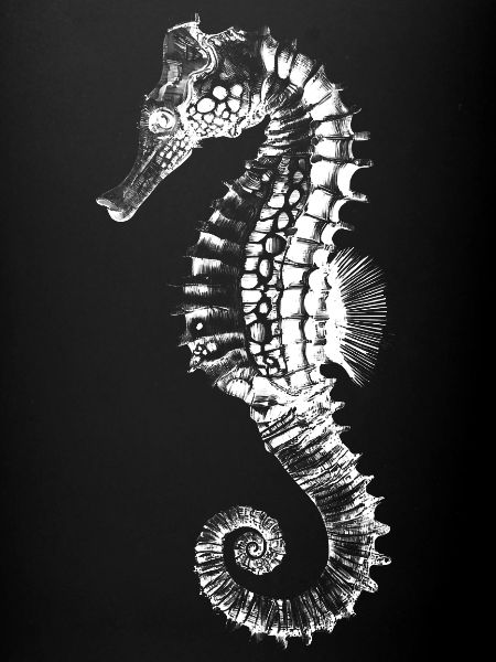 Silhouette hippocampe noir