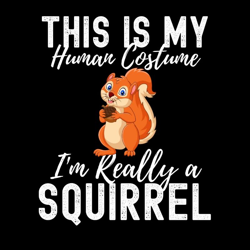 squirrel