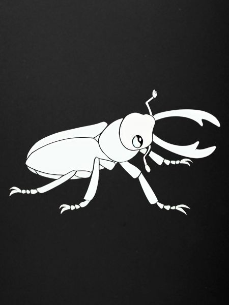 insect