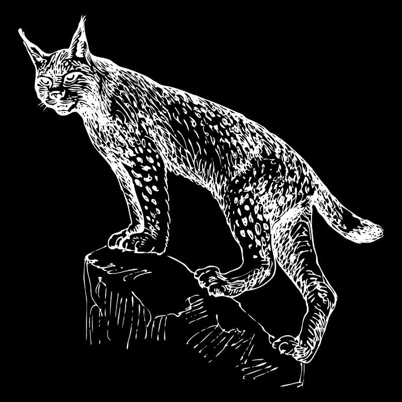 Luchs handgezeichnet