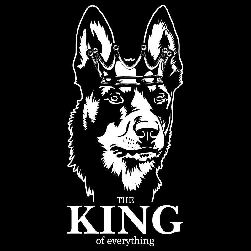 Australian Kelpie King of everything Wilsigns
