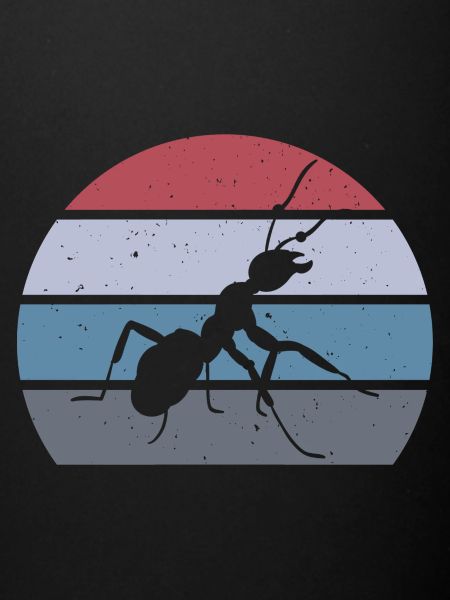 Ant