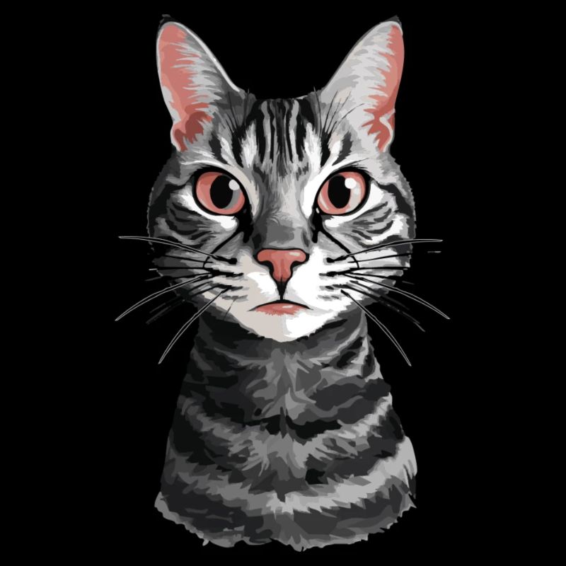 Regard de chat curieux