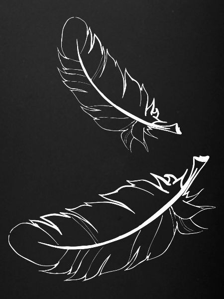 Deux plumes blanches