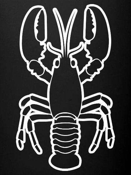 Lobster
