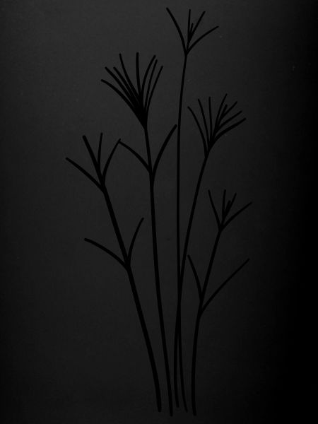 fleur