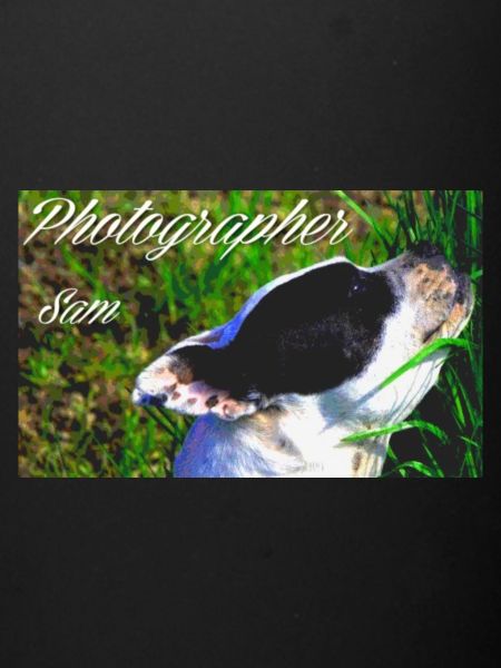 SamPhotographer