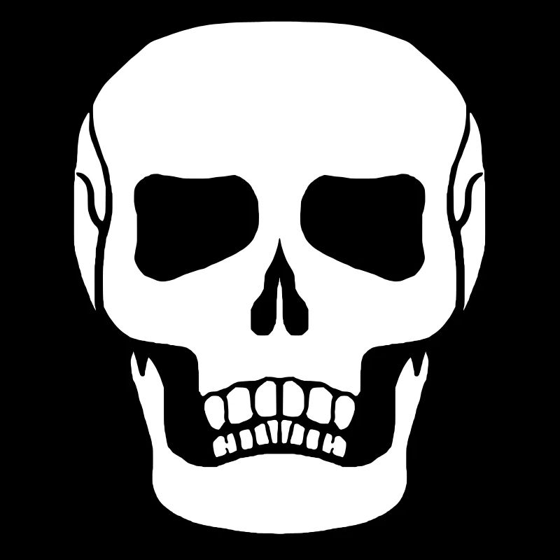 choix de couleur libre de crâne