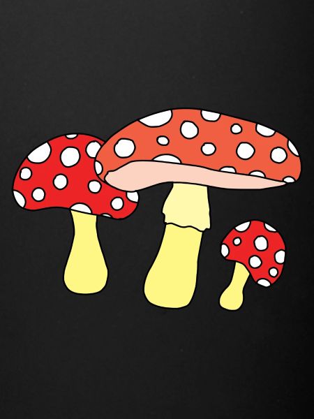champignon