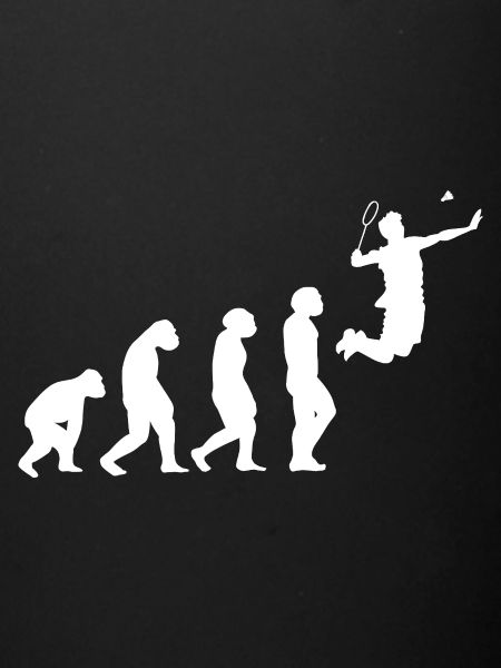 Federball Evolution Badminton