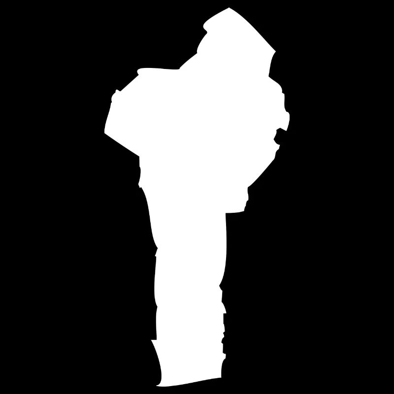 Drapeau de carte Bénin