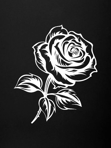 Rose Flower Love