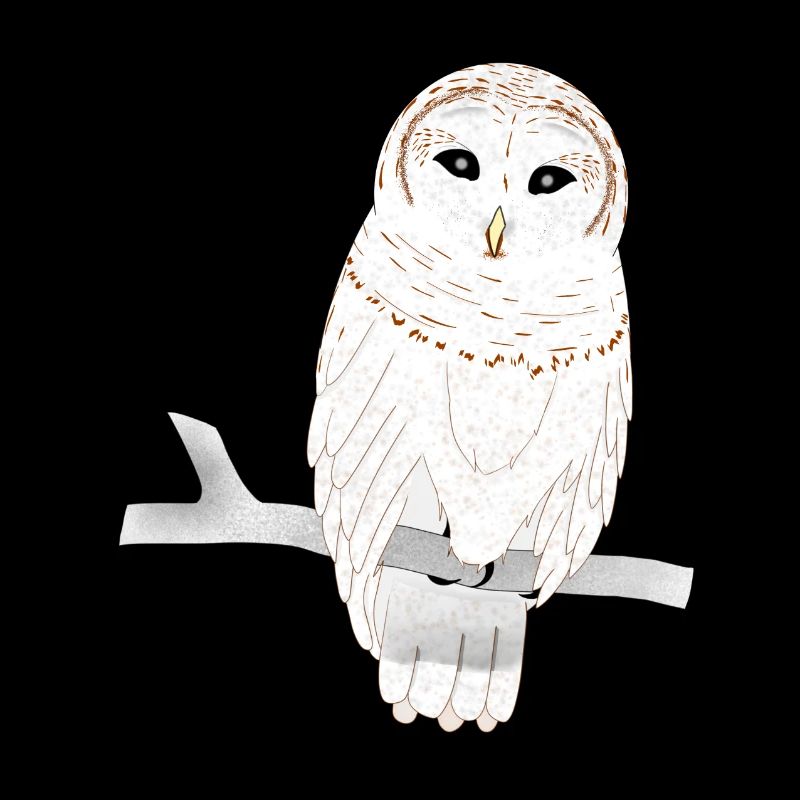 Barn owl